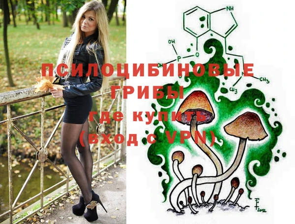 хмурый Балахна