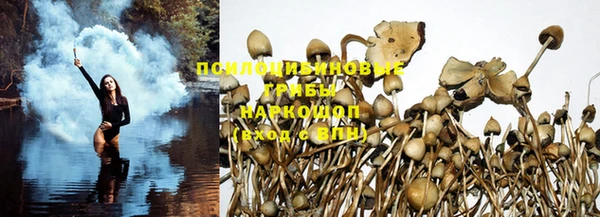 прущая мука Баксан
